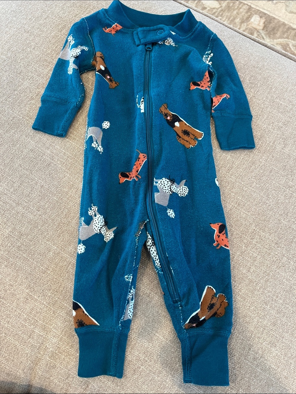 Hanna Andersson Teal Kids Footed One-Piece with Playful Dog Print
